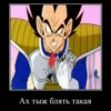 DRAGON CHUVRIKI 9