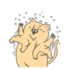 Sad Fat Cat 11