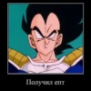 DRAGON CHUVRIKI 10
