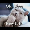 Cats Feelings 7