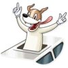 Party Dog 5