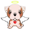 Puppy 5