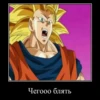 DRAGON CHUVRIKI 11