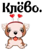 Puppy 7