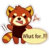 Red Pandas ❤🦋 10