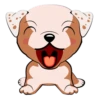 Puppy 8