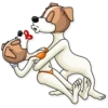 Party Dog 6