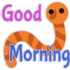 🐛 MoRnInG InSeCt 🐝 6