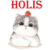 Gatitos Chidos RLG 12