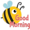 🐛 MoRnInG InSeCt 🐝 7