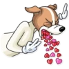 Party Dog 7