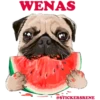 SaludosChidos@StickersRene 11
