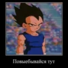 DRAGON CHUVRIKI 13