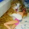 🐈 GaToS RaNdOm 🐈 10