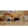 Drunken Animals 7