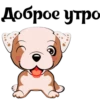 Puppy 9