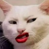 🐈 GaToS RaNdOm 🐈 11