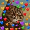 💗 HeArT ReAcTiOn 💗 12