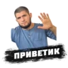 PRO MMA STICKERS 5