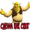 shrek the best 13