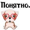 Puppy 10