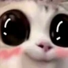🐈 GaToS RaNdOm 🐈 12