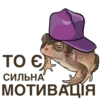 Frogus29 11