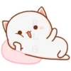 Gatitos Chidos RLG 16