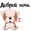 Puppy 12