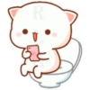 Gatitos Chidos RLG 17