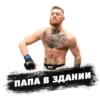 PRO MMA STICKERS 8