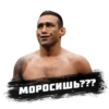 PRO MMA STICKERS 9