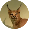 Drunken Animals 9