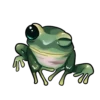 Frogus29 12
