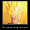 DRAGON CHUVRIKI 15