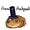 Frogus29 17