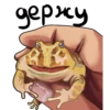 Frogus29 18
