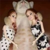 🐈 GaToS RaNdOm 🐈 18