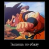 DRAGON CHUVRIKI 17