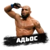 PRO MMA STICKERS 12