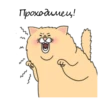 Sad Fat Cat 19