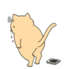 Sad Fat Cat 20