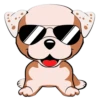 Puppy 14