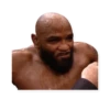 PRO MMA STICKERS 13