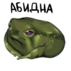 Frogus29 19