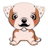 Puppy 15