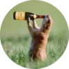 Drunken Animals 13