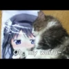Cats Feelings 17