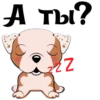 Puppy 16