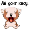 Puppy 17